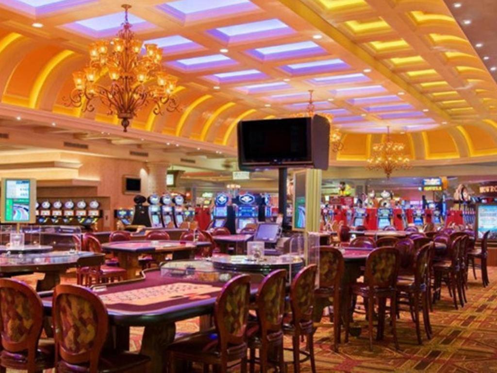 Suncoast And Casino