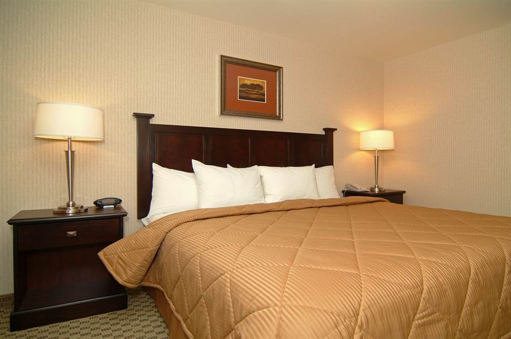 Comfort & Henderson - Vegas Hotel Las Vegas