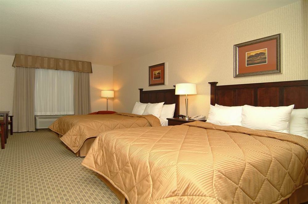 Comfort & Henderson - Vegas Las Vegas