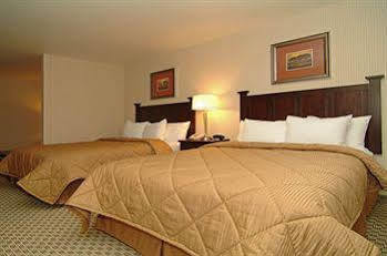 Comfort & Henderson - Vegas Las Vegas